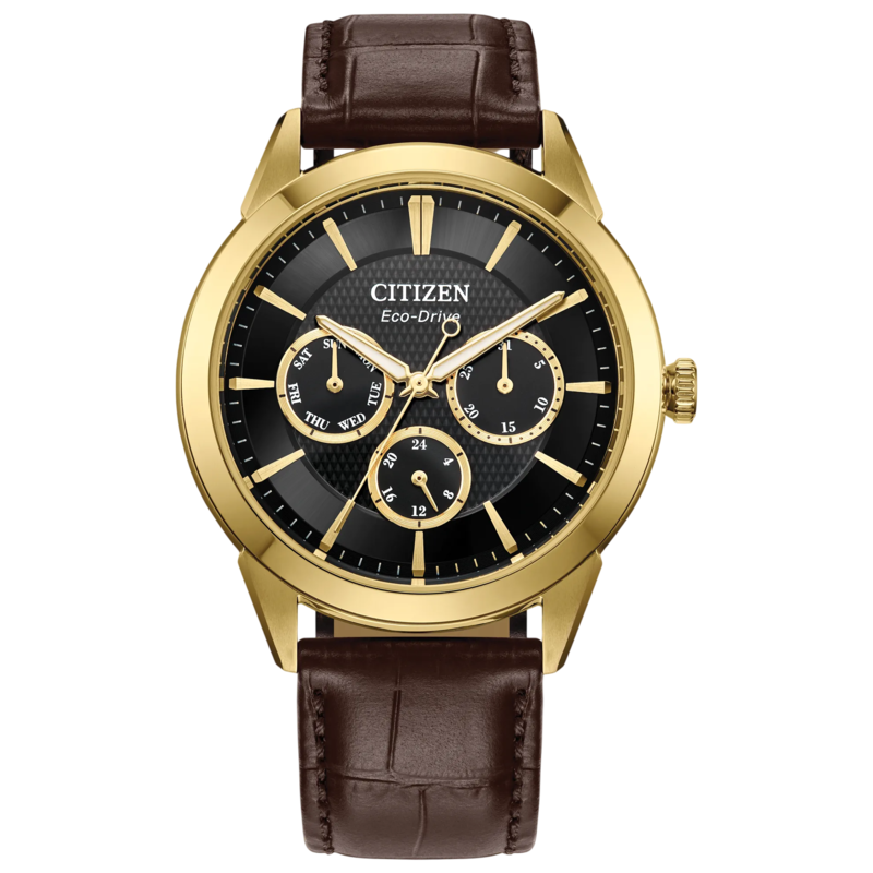 CITIZEN Rolan Chronograph